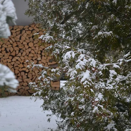Prespi * Horni Lipova